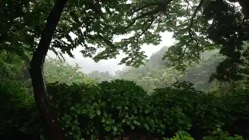 葛原岡神社の自然