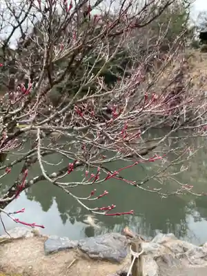 永保寺(岐阜県)