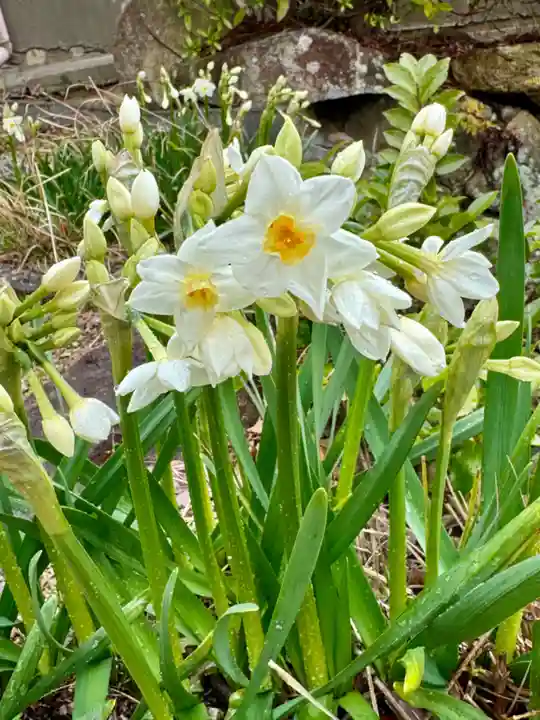 神吉八幡神社(兵庫県)