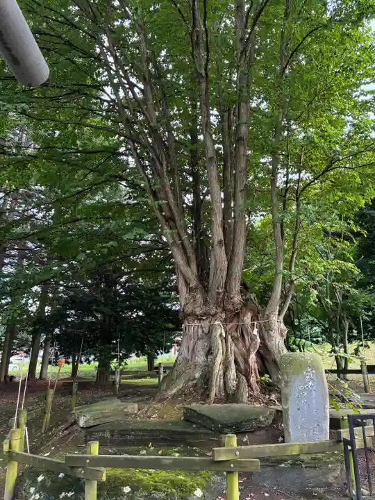 美幌神社(北海道)