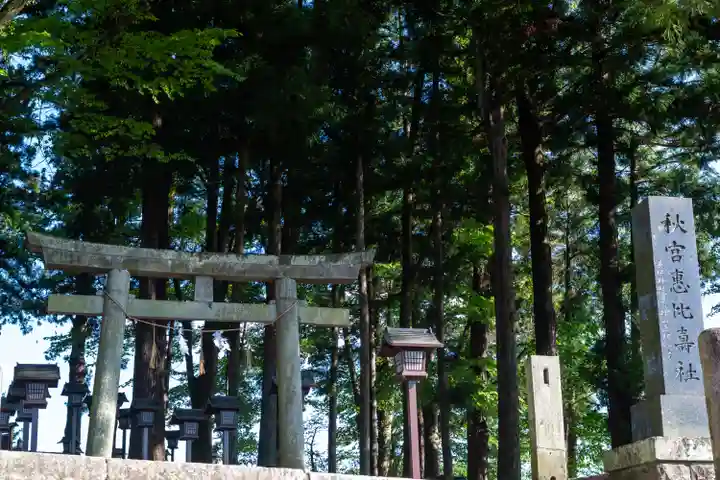 諏訪大社下社秋宮(長野県)