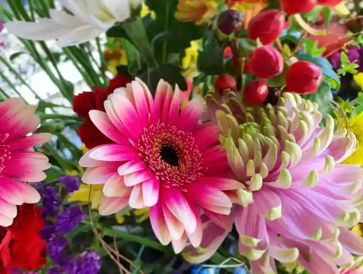 滑川神社 - 仕事と子どもの守り神の手水舎