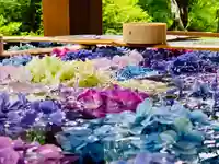 土津神社|こどもと出世の神さまの手水舎