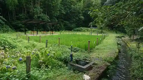 小野神社の周辺