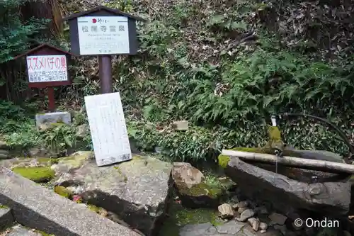 松尾寺(奈良県)