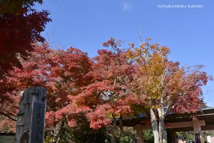 高尾山薬王院の自然
