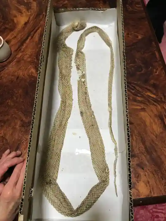 水原の一心さん(新潟県)