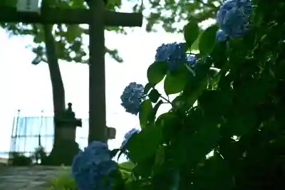 安禅寺(新潟県)