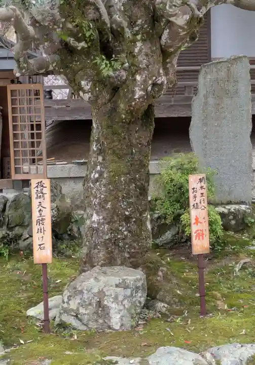 如意輪寺(奈良県)