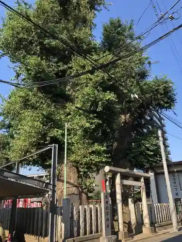 出世稲荷神社のその他建物