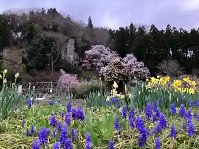 堂の下の岩観音の{uncategorized: "未分類", other: "その他", undefined: "問題あり", building: "その他建物", grave: "お墓", sacred_gate: "鳥居", guardian: "狛犬", statue: "像", buddha: "仏像", history: "歴史", nature: "自然", garden: "庭園", animal: "動物", pagoda: "塔", temizu: "手水舎", mountain_gate: "山門・神門", sanctuary: "本殿・本堂", subordinate: "末社・摂社", art: "芸術", scenery: "景色", jizo: "地蔵", ema: "絵馬", goshuin: "御朱印", omikuji: "おみくじ", items: "授与品その他", amulet: "お守り", goshuincho: "御朱印帳", eats: "食事", festival: "お祭り", votive_dance: "神楽", shichigosan: "七五三参", wedding: "結婚式", experience: "体験その他", initially: "初詣", around: "周辺", anti_infection: "感染症対策"}