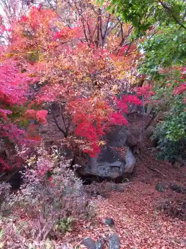 栖雲寺の庭園