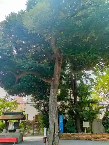 七社神社(東京都)
