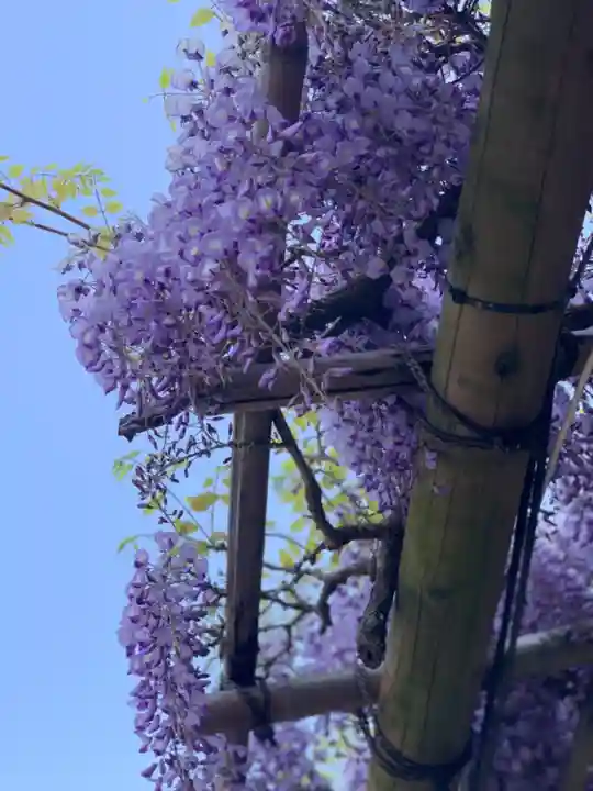 楽法寺(雨引観音)の自然