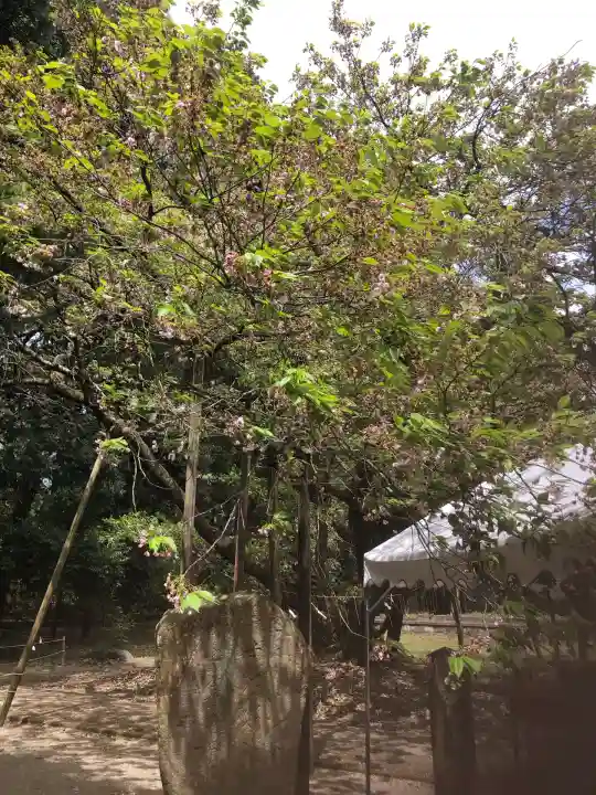 伊佐須美神社(福島県)