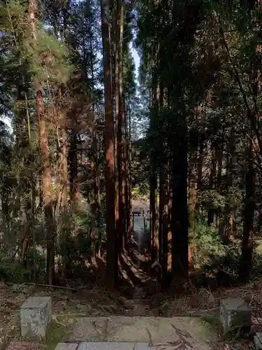 白山神社の自然