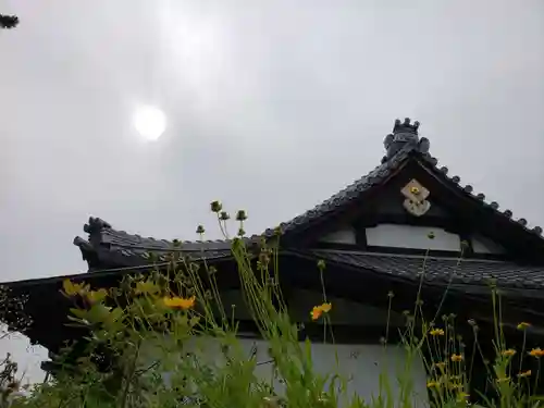 玄国寺のその他建物