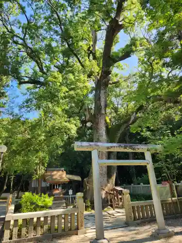 伊弉諾神宮の末社・摂社