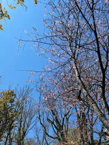 釧路一之宮 厳島神社の自然