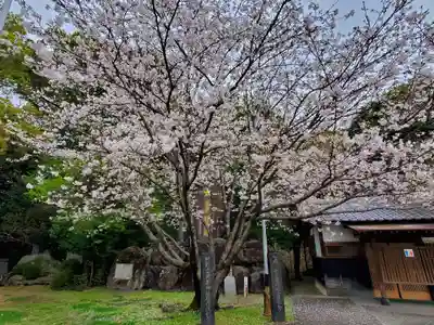 熊本縣護國神社の自然