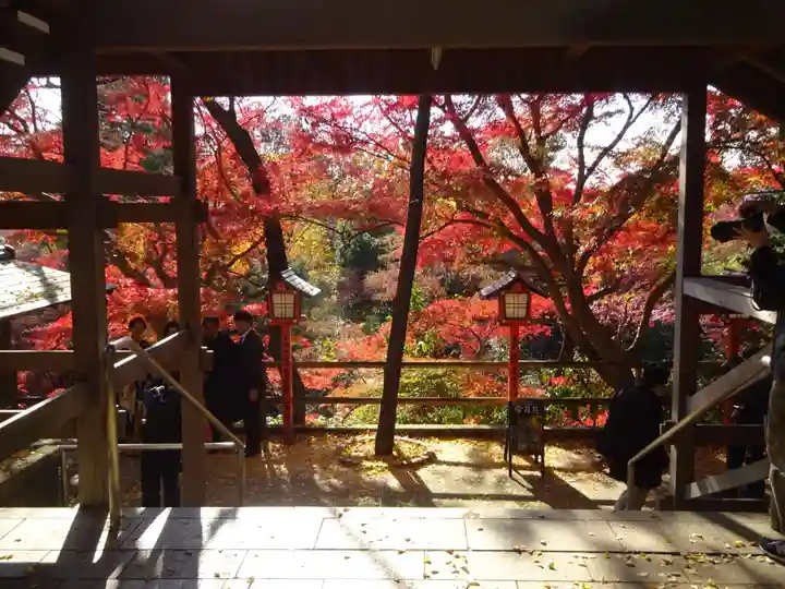 明王院(満願寺別院)の自然