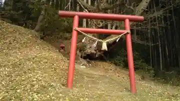 名称不明の鳥居