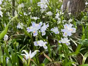 大宮温泉神社(栃木県)(2023年04月21日(金) 10時56分54秒投稿)