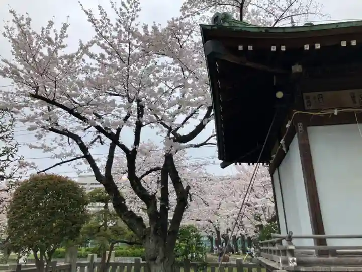 隅田川神社(東京都)