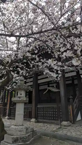 本法寺(京都府)