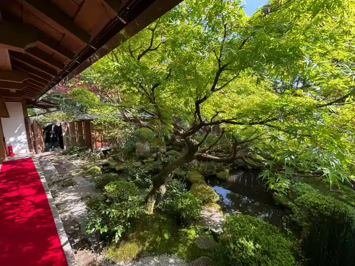 宝泉院(京都府)