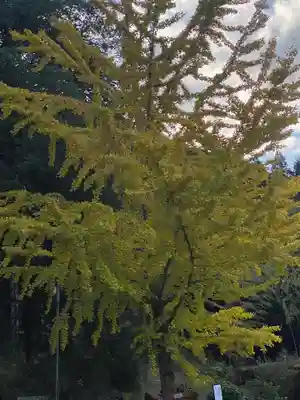 常瀧寺(兵庫県)