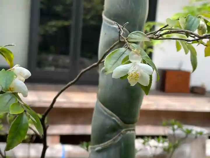 遠照山 光明寺(尼崎大仏)(兵庫県)