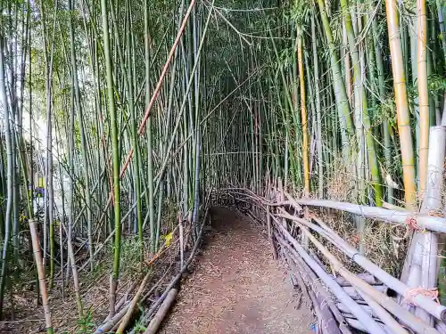 高木稲荷の自然