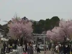 針綱神社の自然