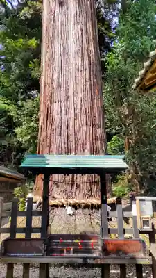 事任八幡宮(静岡県)