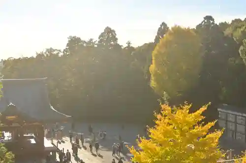 鶴岡八幡宮の景色