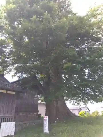 日吉神社(富山県)