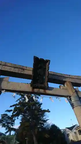 大曽根八幡神社(埼玉県)