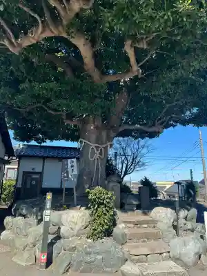 春ノ木神明社の{uncategorized: "未分類", other: "その他", undefined: "問題あり", building: "その他建物", grave: "お墓", sacred_gate: "鳥居", guardian: "狛犬", statue: "像", buddha: "仏像", history: "歴史", nature: "自然", garden: "庭園", animal: "動物", pagoda: "塔", temizu: "手水舎", mountain_gate: "山門・神門", sanctuary: "本殿・本堂", subordinate: "末社・摂社", art: "芸術", scenery: "景色", jizo: "地蔵", ema: "絵馬", goshuin: "御朱印", omikuji: "おみくじ", items: "授与品その他", amulet: "お守り", goshuincho: "御朱印帳", eats: "食事", festival: "お祭り", votive_dance: "神楽", shichigosan: "七五三参", wedding: "結婚式", experience: "体験その他", initially: "初詣", around: "周辺", anti_infection: "感染症対策"}