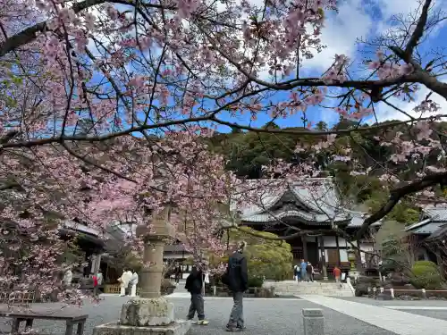 修禅寺の{uncategorized: "未分類", other: "その他", undefined: "問題あり", building: "その他建物", grave: "お墓", sacred_gate: "鳥居", guardian: "狛犬", statue: "像", buddha: "仏像", history: "歴史", nature: "自然", garden: "庭園", animal: "動物", pagoda: "塔", temizu: "手水舎", mountain_gate: "山門・神門", sanctuary: "本殿・本堂", subordinate: "末社・摂社", art: "芸術", scenery: "景色", jizo: "地蔵", ema: "絵馬", goshuin: "御朱印", omikuji: "おみくじ", items: "授与品その他", amulet: "お守り", goshuincho: "御朱印帳", eats: "食事", festival: "お祭り", votive_dance: "神楽", shichigosan: "七五三参", wedding: "結婚式", experience: "体験その他", initially: "初詣", around: "周辺", anti_infection: "感染症対策"}