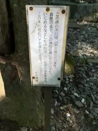 手長神社(長野県)