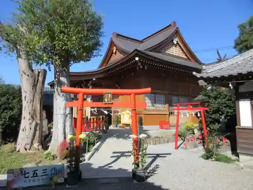 於菊稲荷神社の鳥居