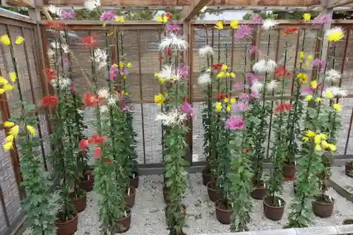 大覚寺(京都府)