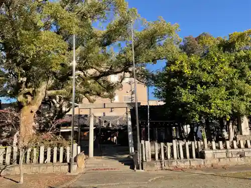 須佐之男社(愛知県)