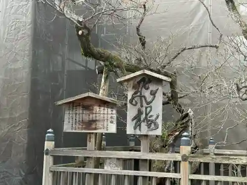 太宰府天満宮の{uncategorized: "未分類", other: "その他", undefined: "問題あり", building: "その他建物", grave: "お墓", sacred_gate: "鳥居", guardian: "狛犬", statue: "像", buddha: "仏像", history: "歴史", nature: "自然", garden: "庭園", animal: "動物", pagoda: "塔", temizu: "手水舎", mountain_gate: "山門・神門", sanctuary: "本殿・本堂", subordinate: "末社・摂社", art: "芸術", scenery: "景色", jizo: "地蔵", ema: "絵馬", goshuin: "御朱印", omikuji: "おみくじ", items: "授与品その他", amulet: "お守り", goshuincho: "御朱印帳", eats: "食事", festival: "お祭り", votive_dance: "神楽", shichigosan: "七五三参", wedding: "結婚式", experience: "体験その他", initially: "初詣", around: "周辺", anti_infection: "感染症対策"}