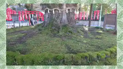 秩父今宮神社(埼玉県)