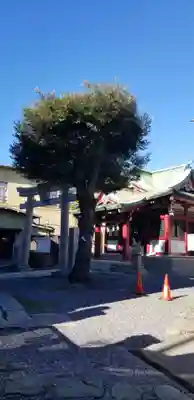 篠原稲荷神社の自然