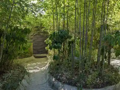 來宮神社(静岡県)