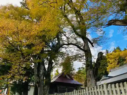 普光寺(新潟県)