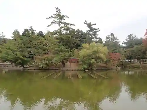 厳島神社（東大寺境内社）の庭園
